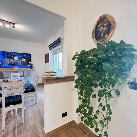 Carrubba's Luxury Apartment